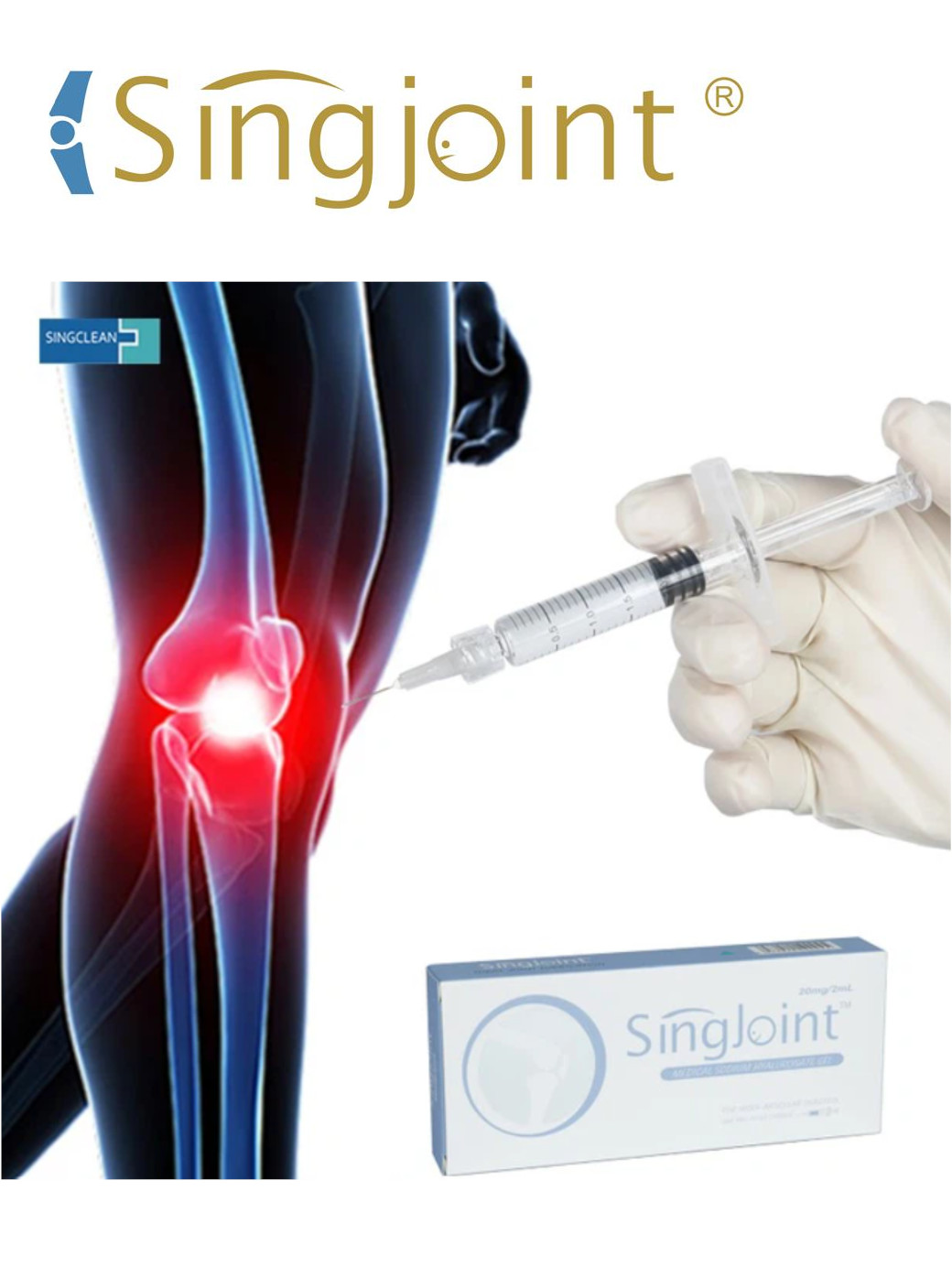 knee02